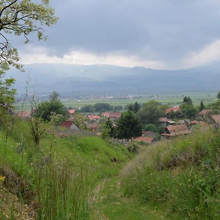 Birdsong Cottage - Peaceful Country Retreat Păuleni-Ciuc Zewnętrze zdjęcie