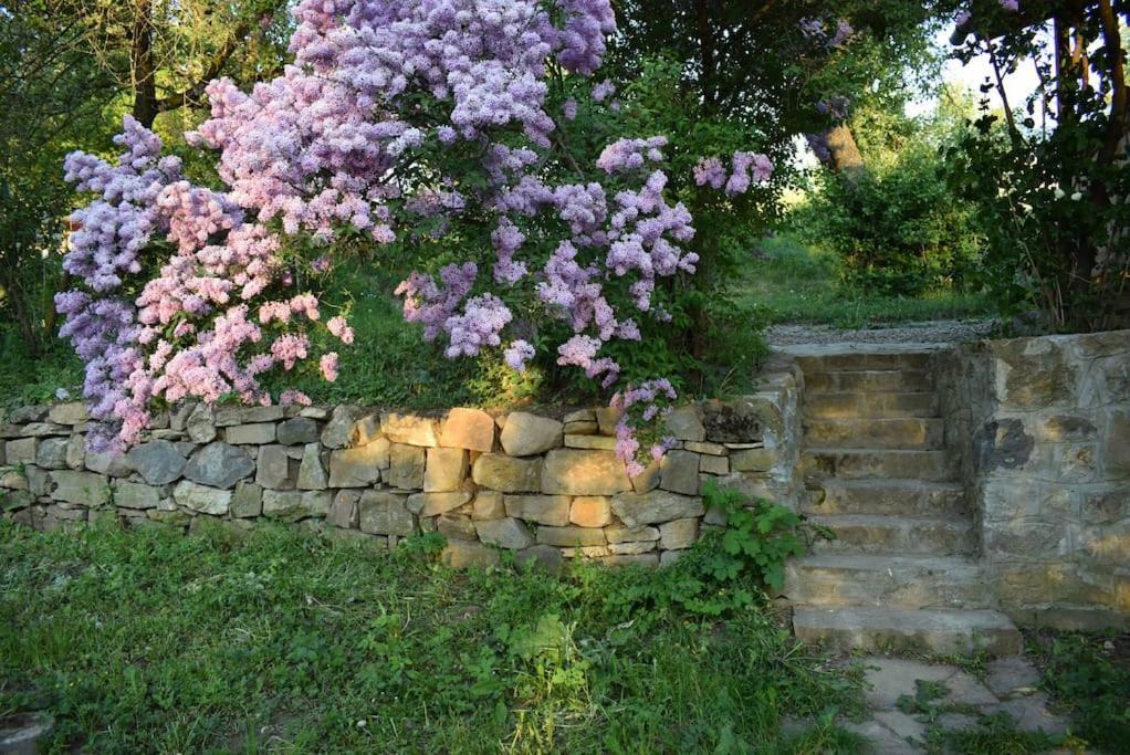 Birdsong Cottage - Peaceful Country Retreat Păuleni-Ciuc Zewnętrze zdjęcie