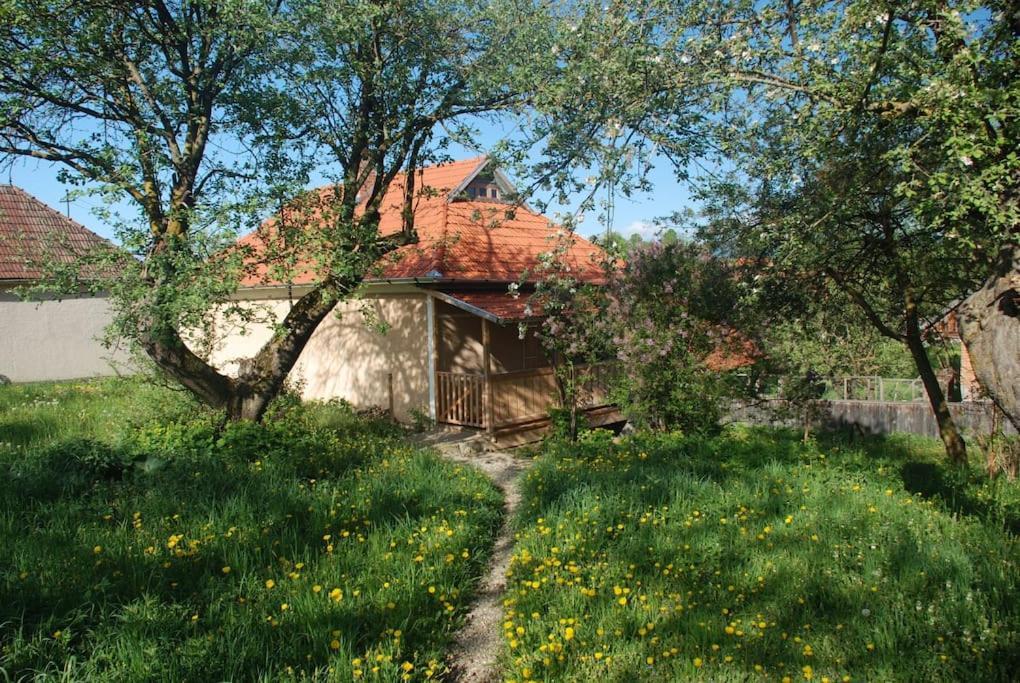 Birdsong Cottage - Peaceful Country Retreat Păuleni-Ciuc Zewnętrze zdjęcie